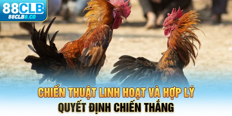 Chiến thuật linh hoạt và hợp lý quyết định chiến thắng