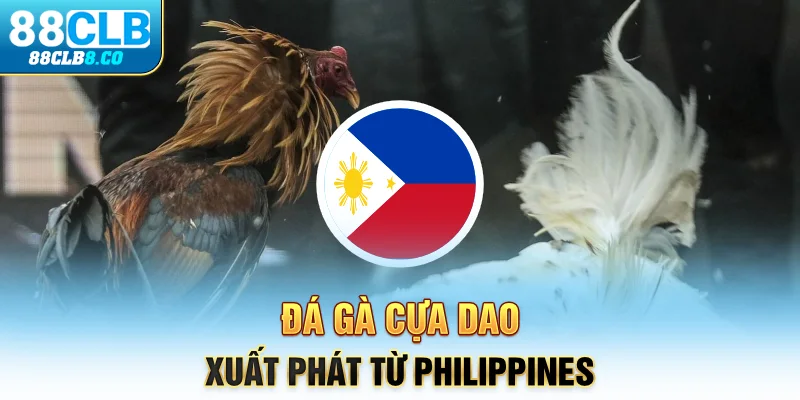 Đá gà cựa dao xuất phát từ Philippines