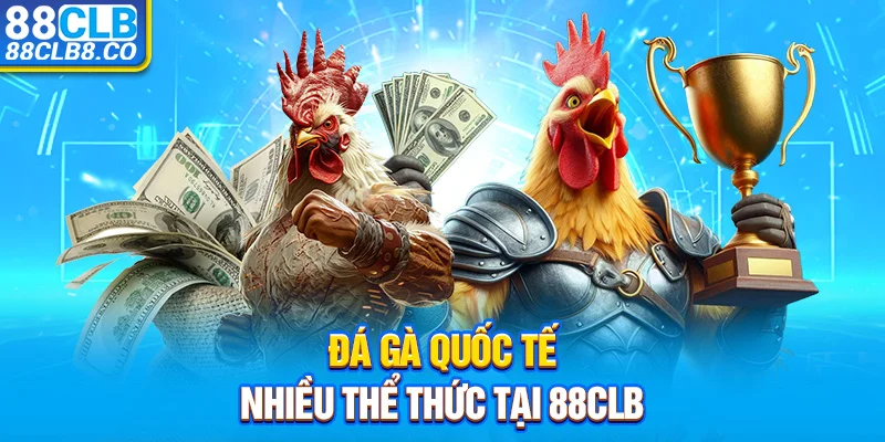 Đá gà quốc tế nhiều thể thức tại 88CLB